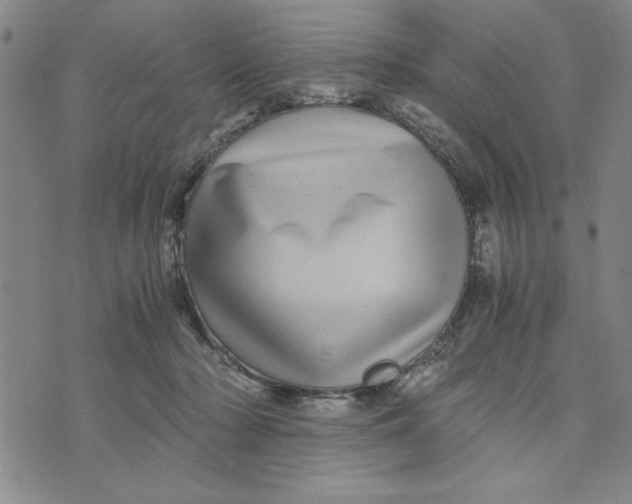 X0000076270318200610191746