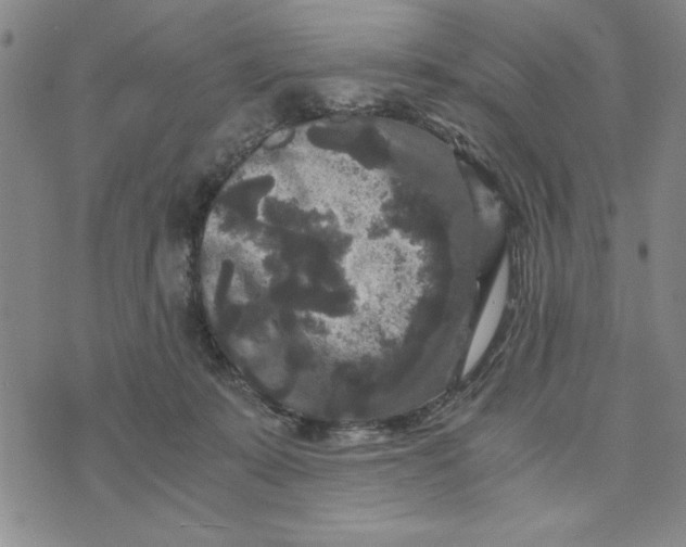 X0000076270319200610191746