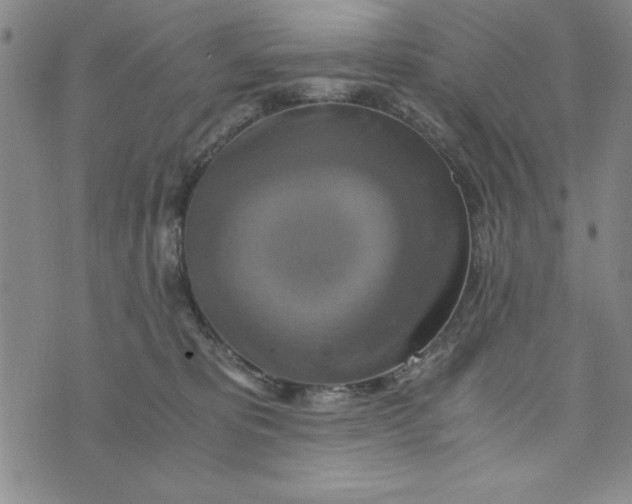 X0000076270325200610191746