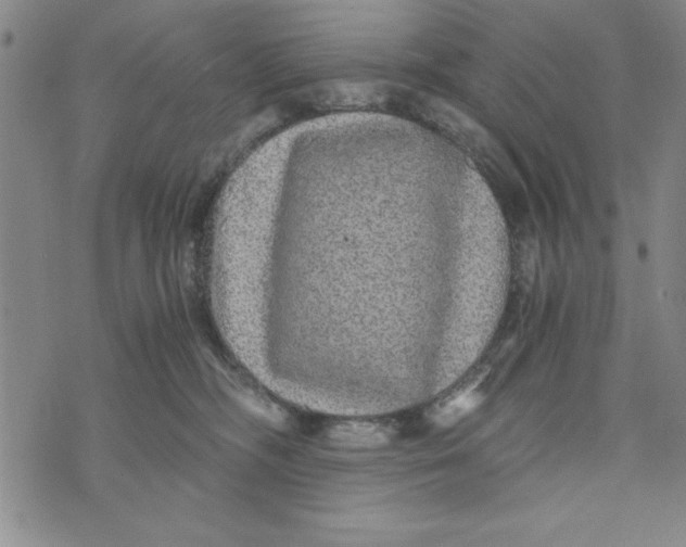 X0000076270326200610191746