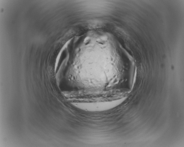 X0000076270327200610191746