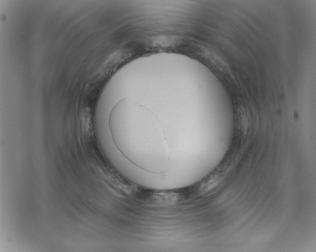 X0000076270328200610191746