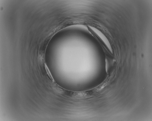 X0000076270329200610191746