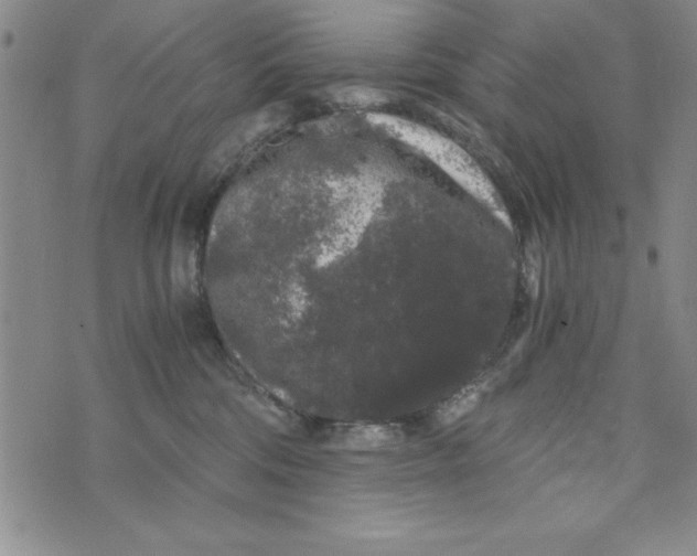 X0000076270330200610191746