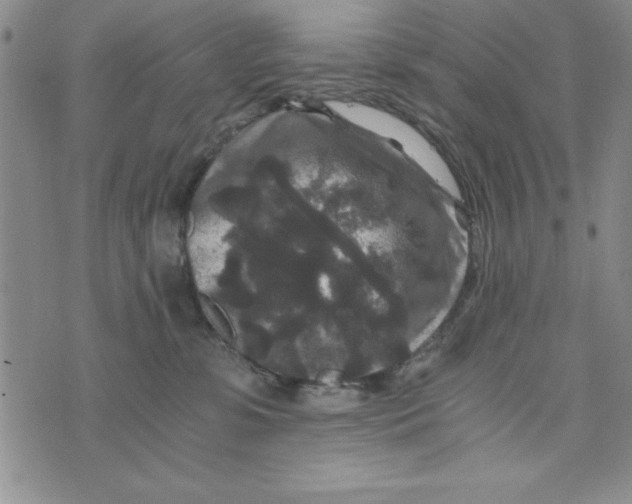 X0000076270331200610191746