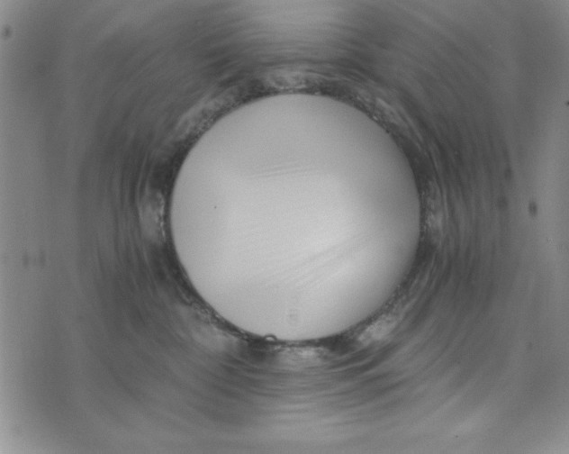 X0000076270332200610191746