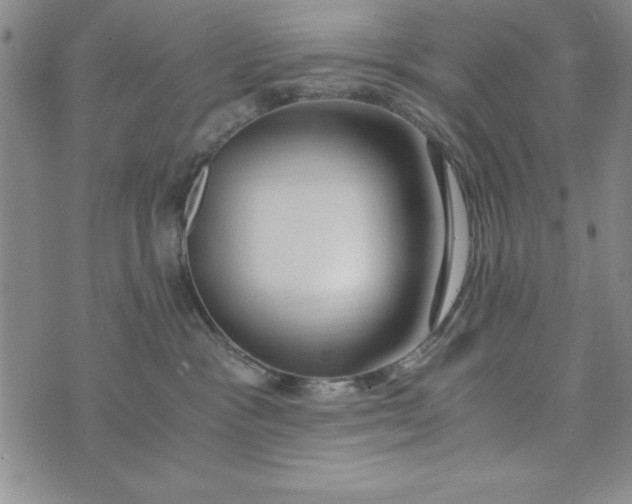 X0000076270333200610191746