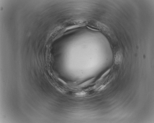 X0000076270335200610191746