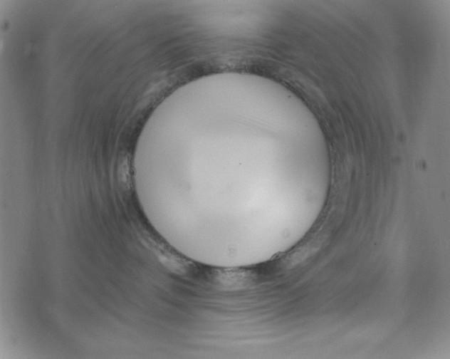 X0000076270336200610191746