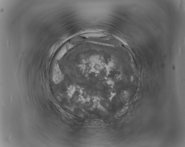 X0000076270337200610191745