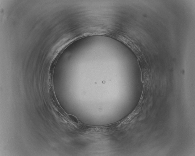 X0000076270338200610191745