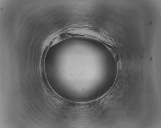 X0000076270340200610191745