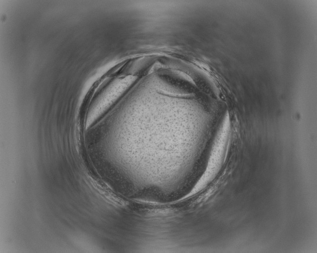 X0000076270342200610191745