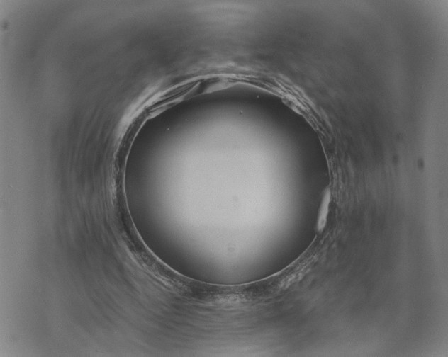 X0000076270344200610191745