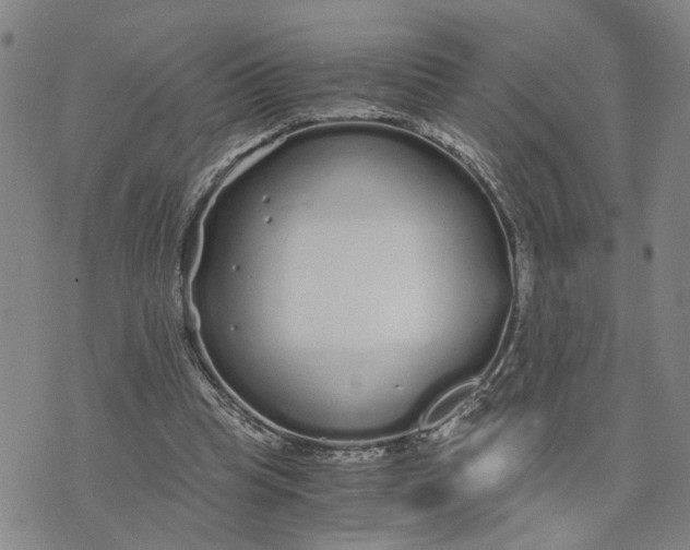 X0000076270345200610191745