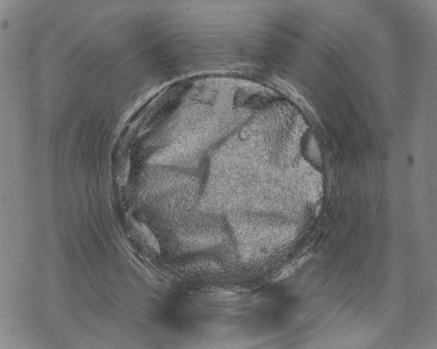 X0000076270346200610191745