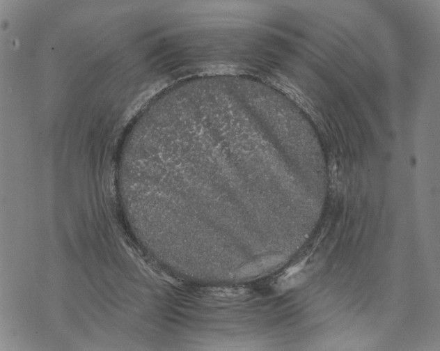 X0000076270347200610191745