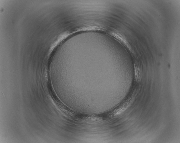 X0000076270348200610191745