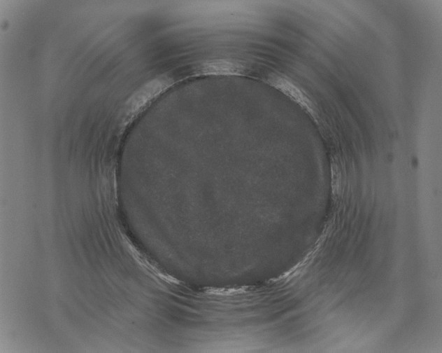 X0000076270349200610191745