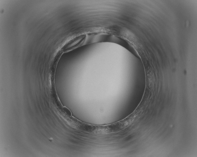 X0000076270350200610191745