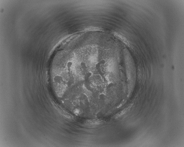 X0000076270351200610191745