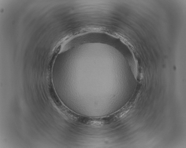 X0000076270352200610191745