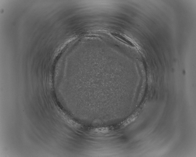 X0000076270353200610191745