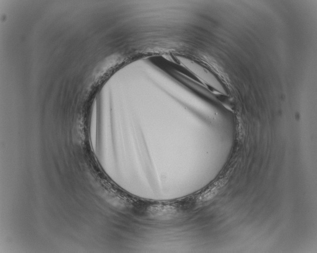 X0000076270354200610191745