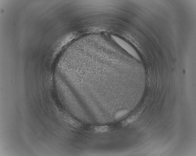 X0000076270355200610191745