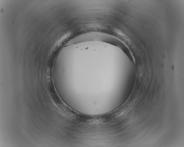 X0000076270356200610191745