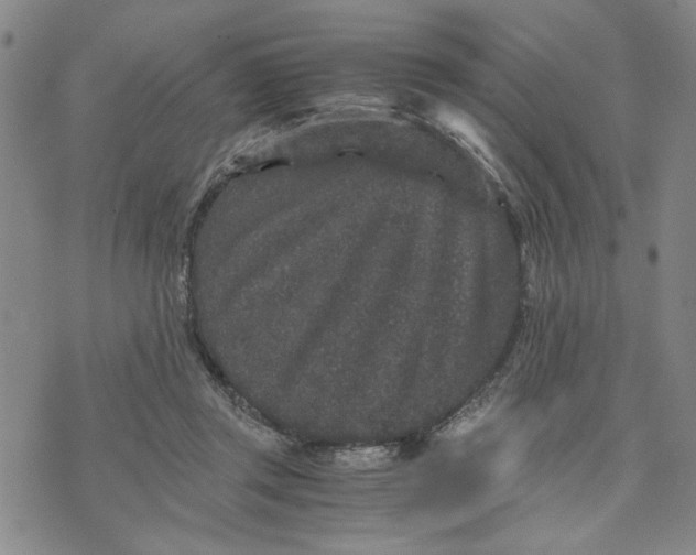 X0000076270357200610191745