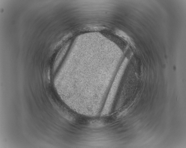 X0000076270358200610191745