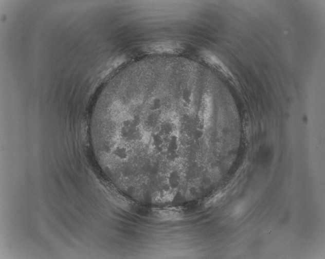 X0000076270359200610191745