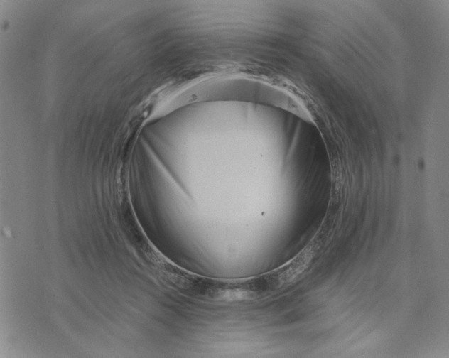 X0000076270360200610191745