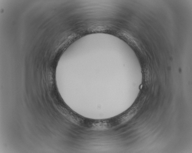 X0000076270362200610191745