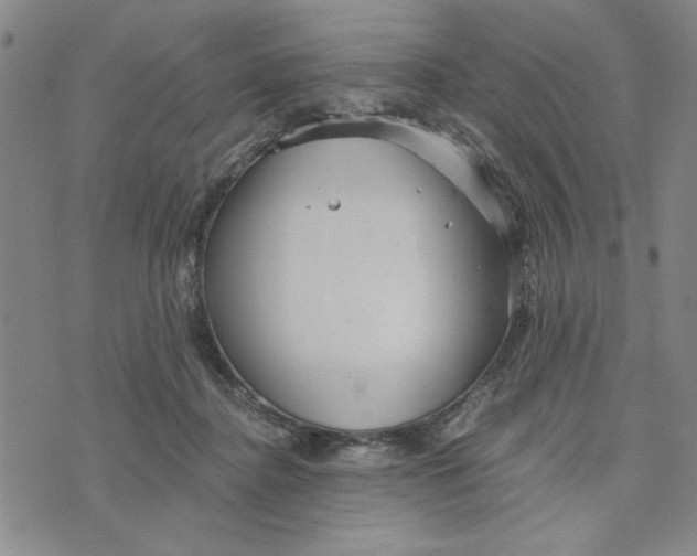 X0000076270364200610191745