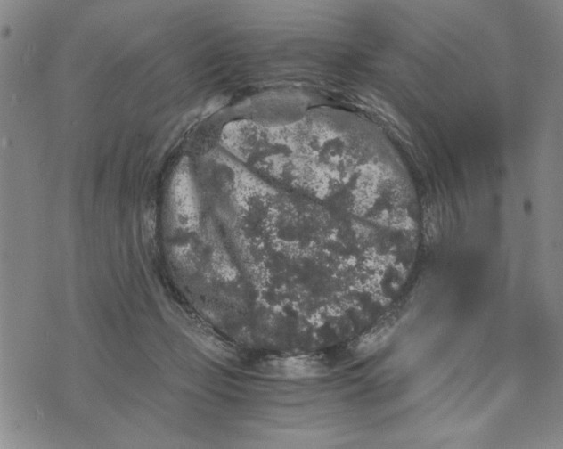 X0000076270365200610191745