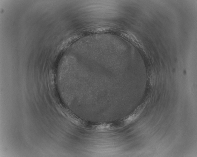 X0000076270366200610191745