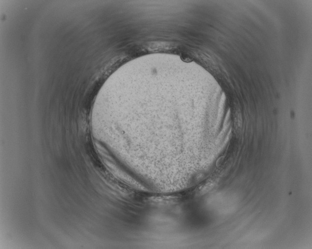 X0000076270367200610191745