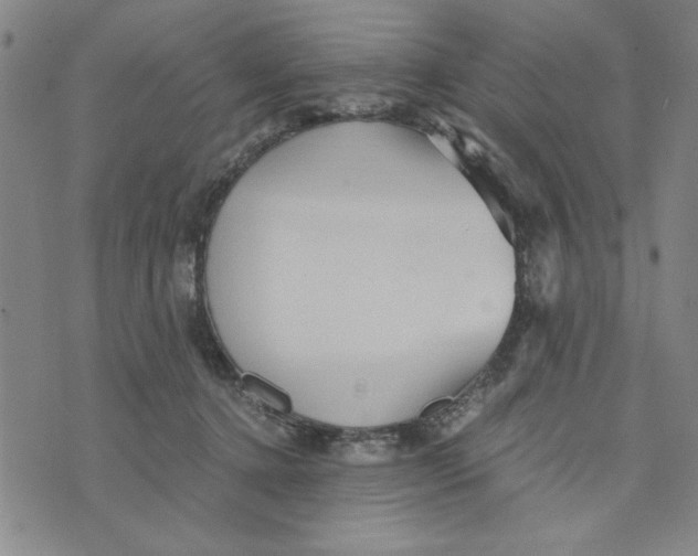 X0000076270368200610191745