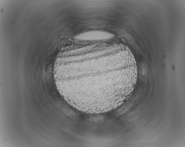 X0000076270369200610191745