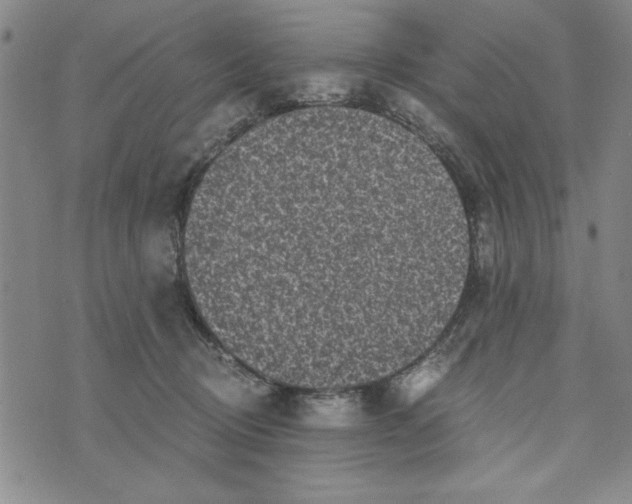 X0000076270370200610191745