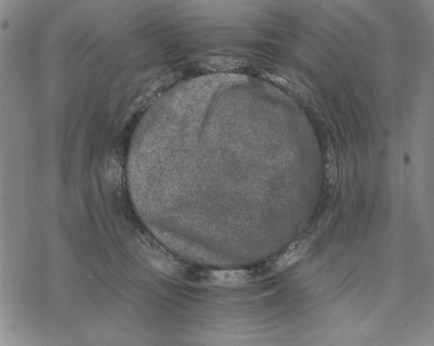 X0000076270371200610191745