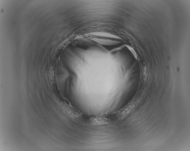 X0000076270372200610191745