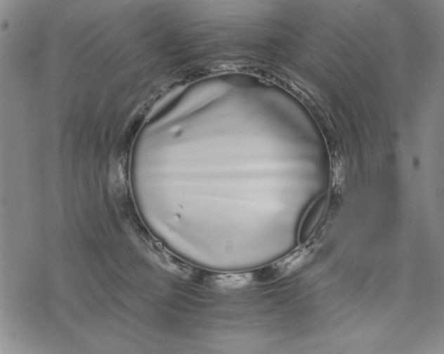 X0000076270373200610191745