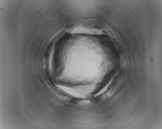 X0000076270374200610191745