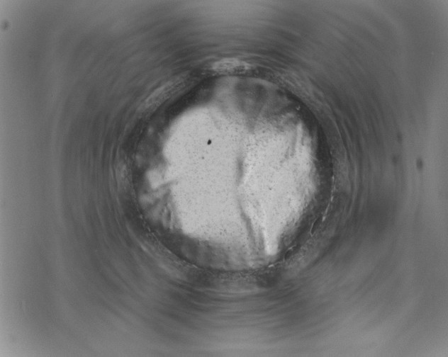 X0000076270375200610191745