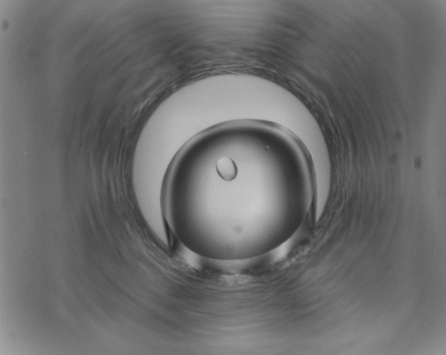 X0000076270376200610191745