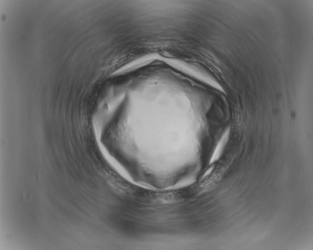 X0000076270377200610191745