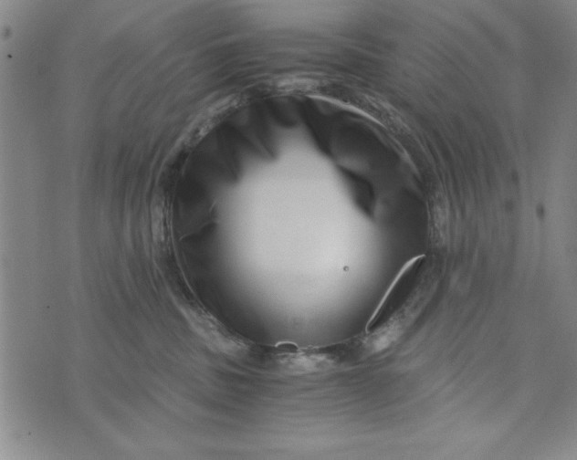 X0000076270379200610191746